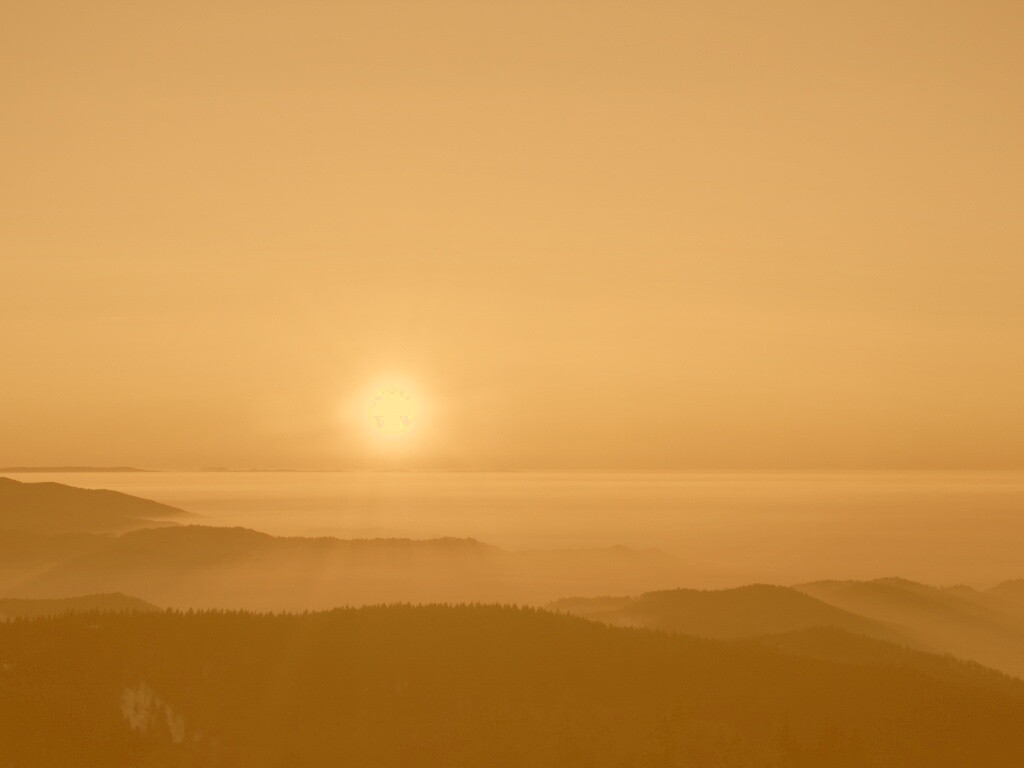 Восход солнца над лесом обои