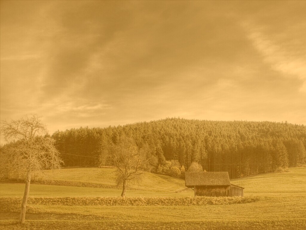 Домик в поле обои