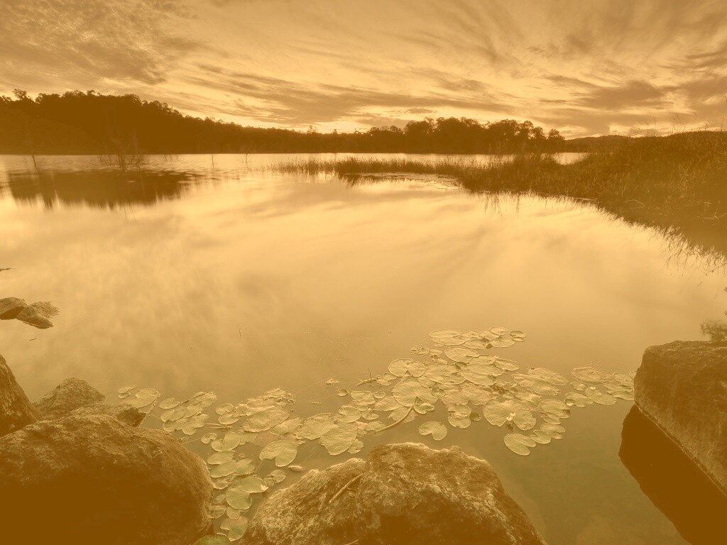 Озеро поздним вечером обои