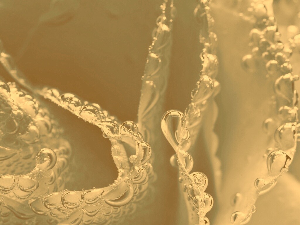 Капельки росы на синих лепестках обои