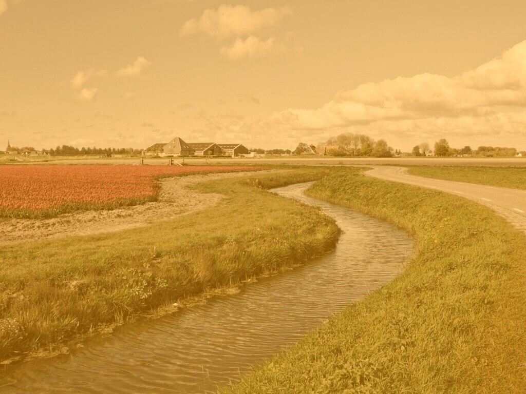 Канал вдоль дороги обои