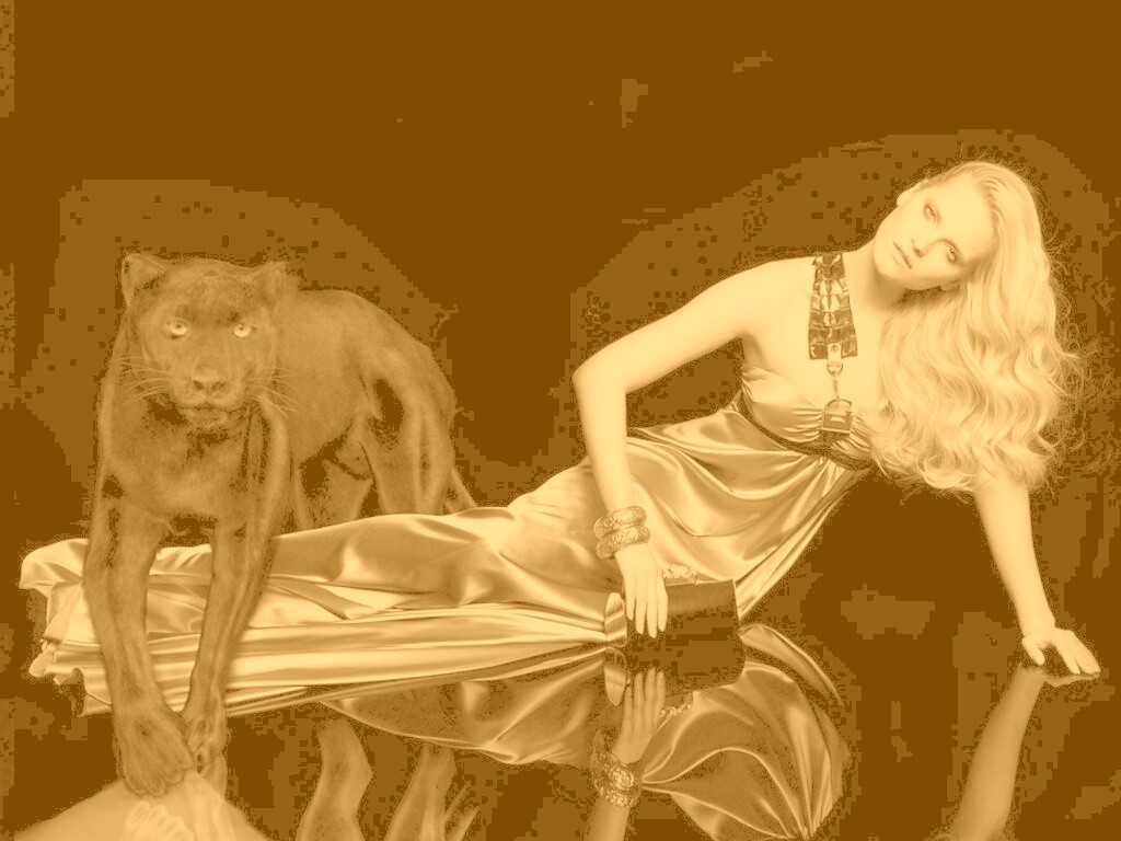 Красотка с пантерой обои