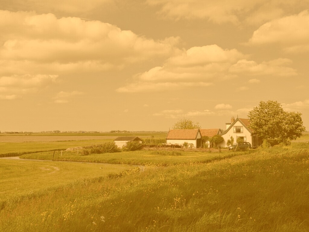 дом на лугу обои