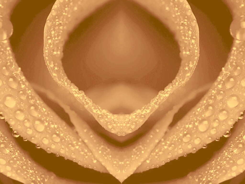 Цветочный зев обои