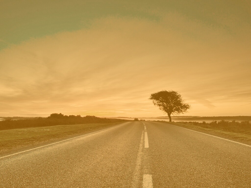 Дорога обои