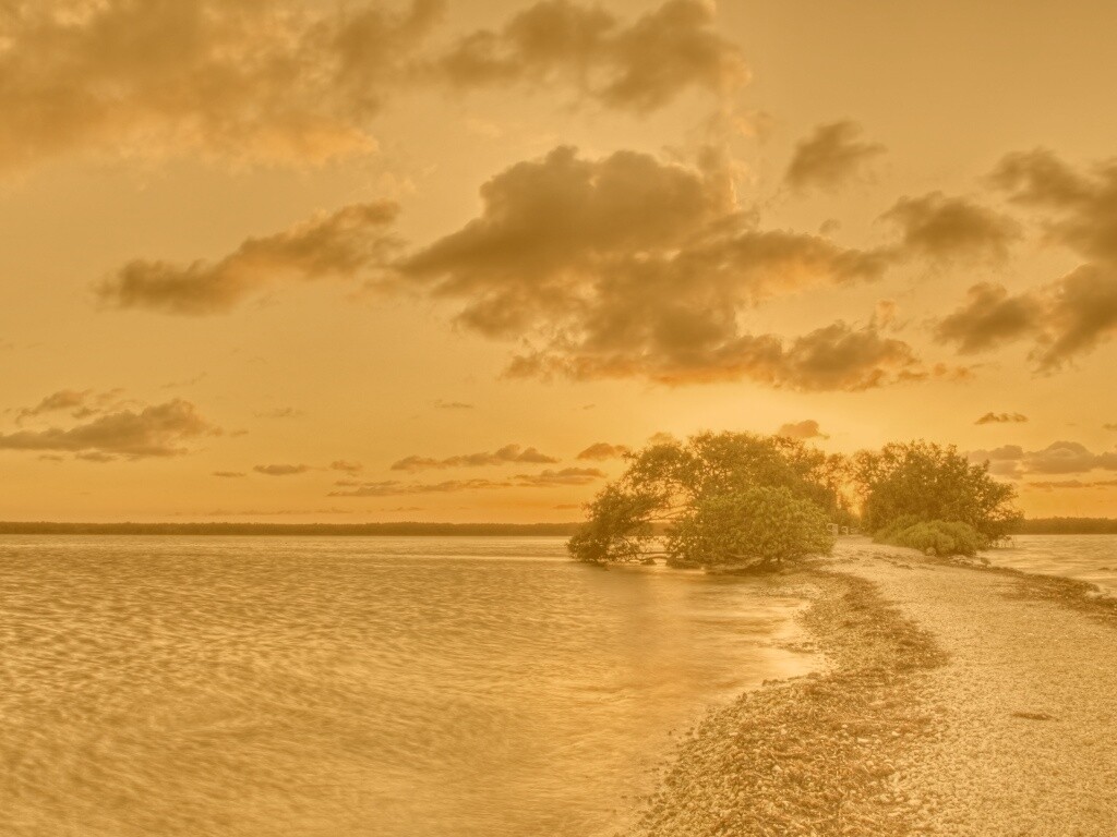 Побережье на закате обои