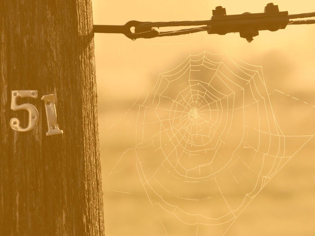 Паутина 51 обои