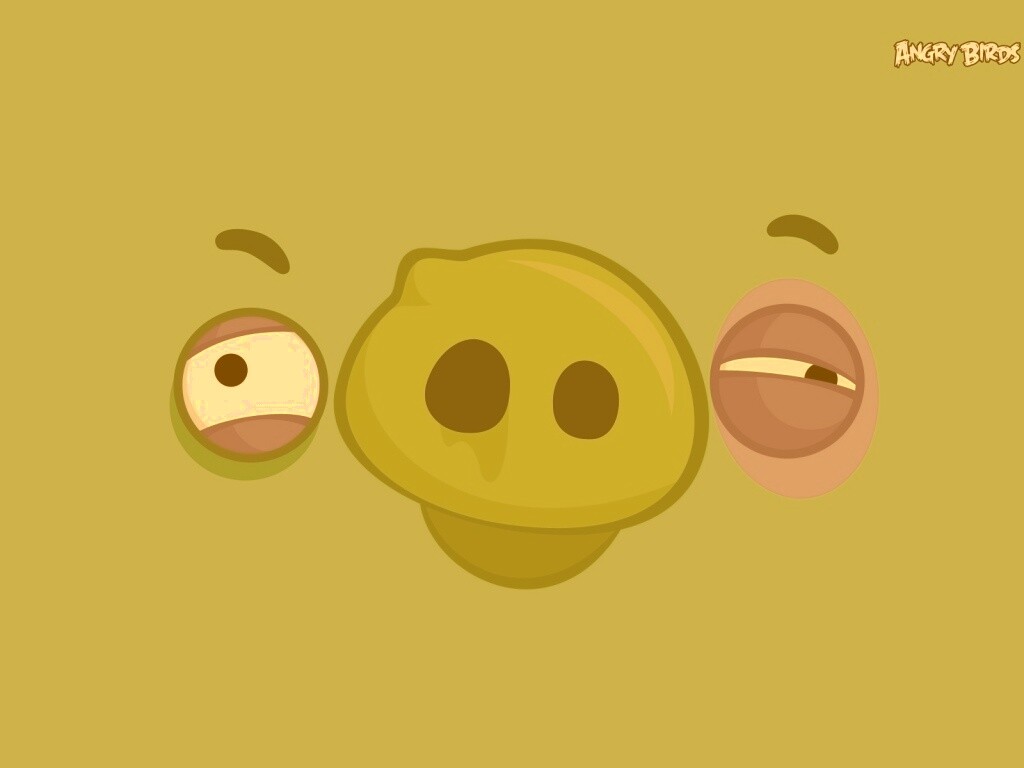 Свинья из Angry Birds обои