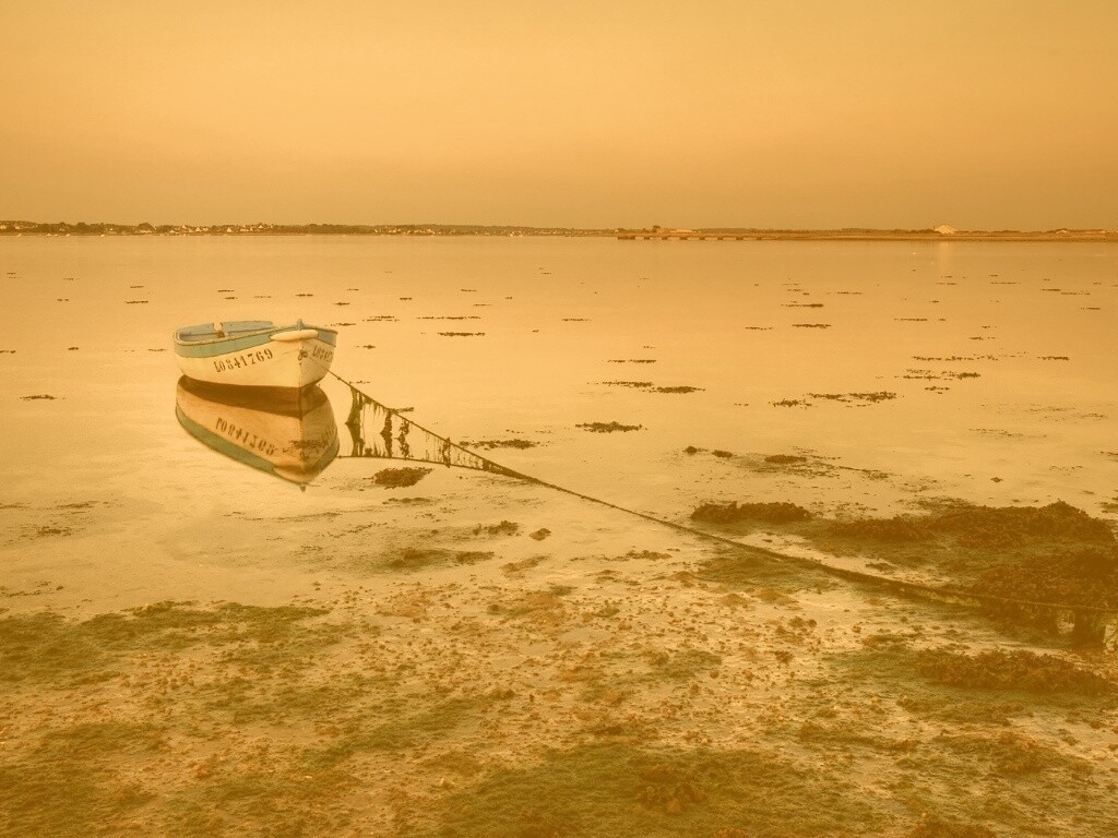 Лодка на илистом берегу обои