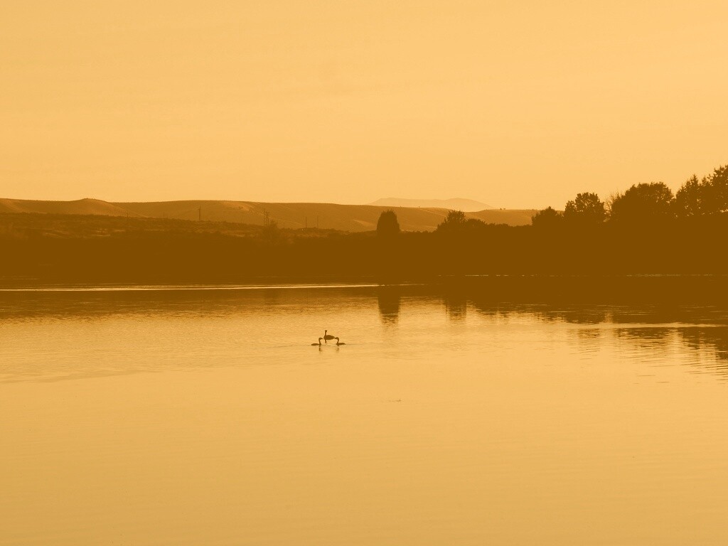 Утиное озеро обои