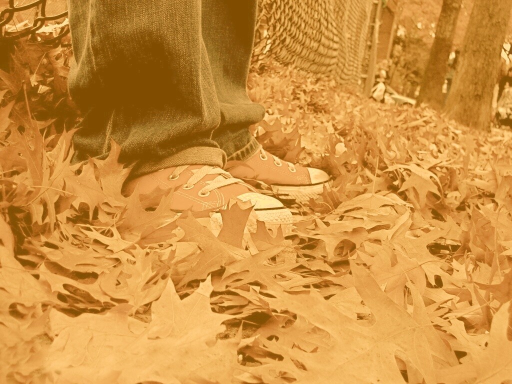 Оранжевые кеды обои