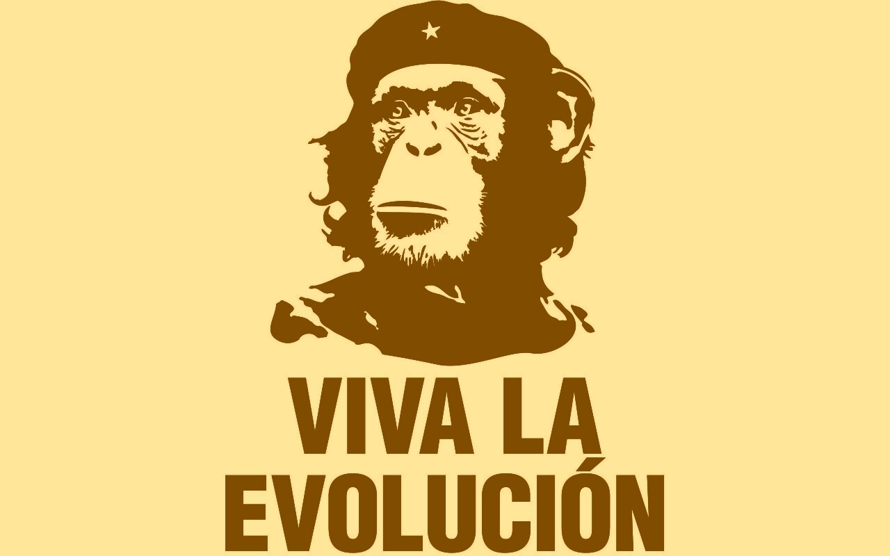 Viva la evolucion обои
