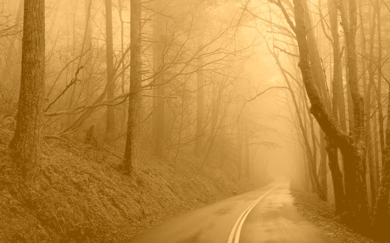 В туман обои