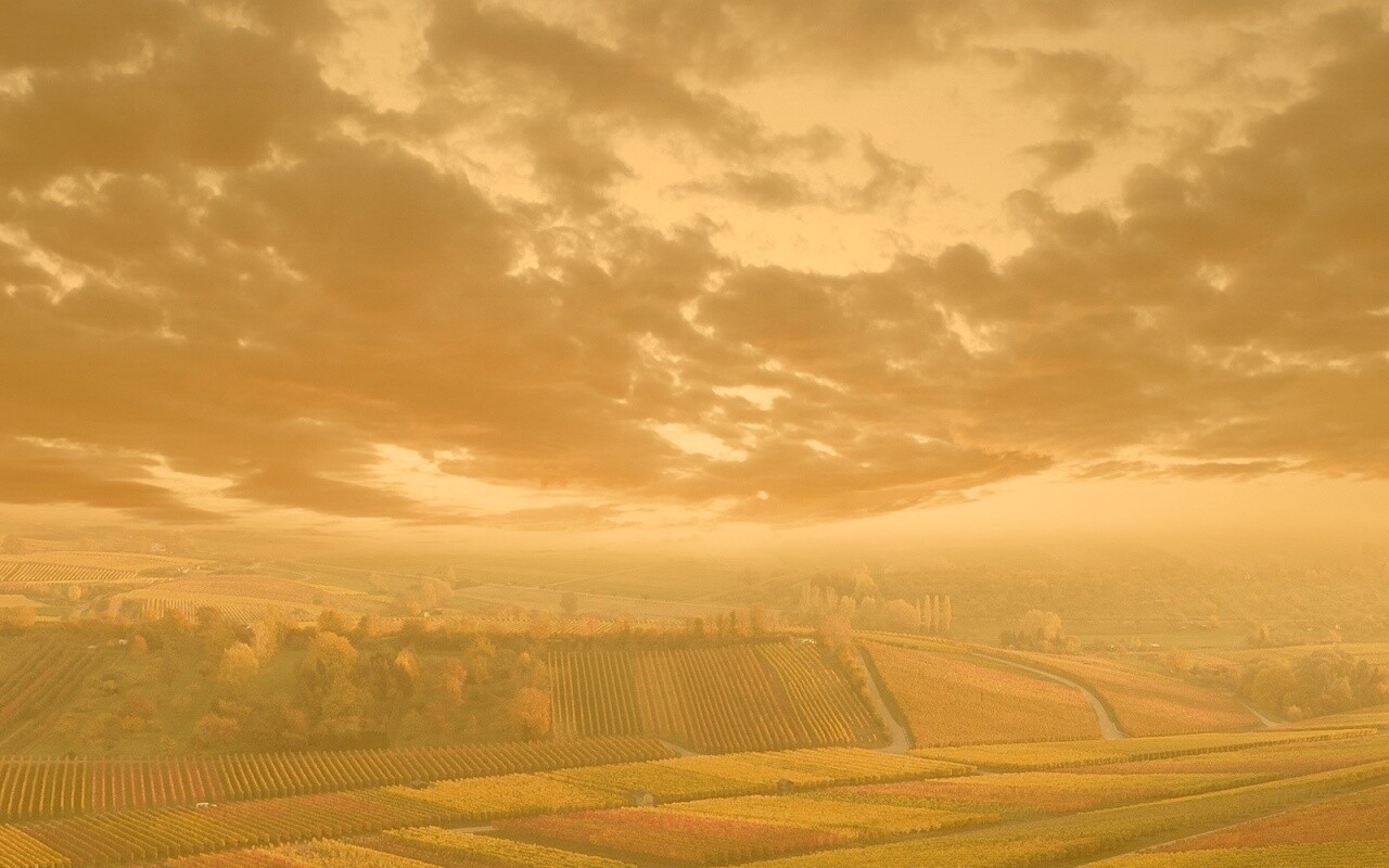 Обработанные земли в пригороде обои