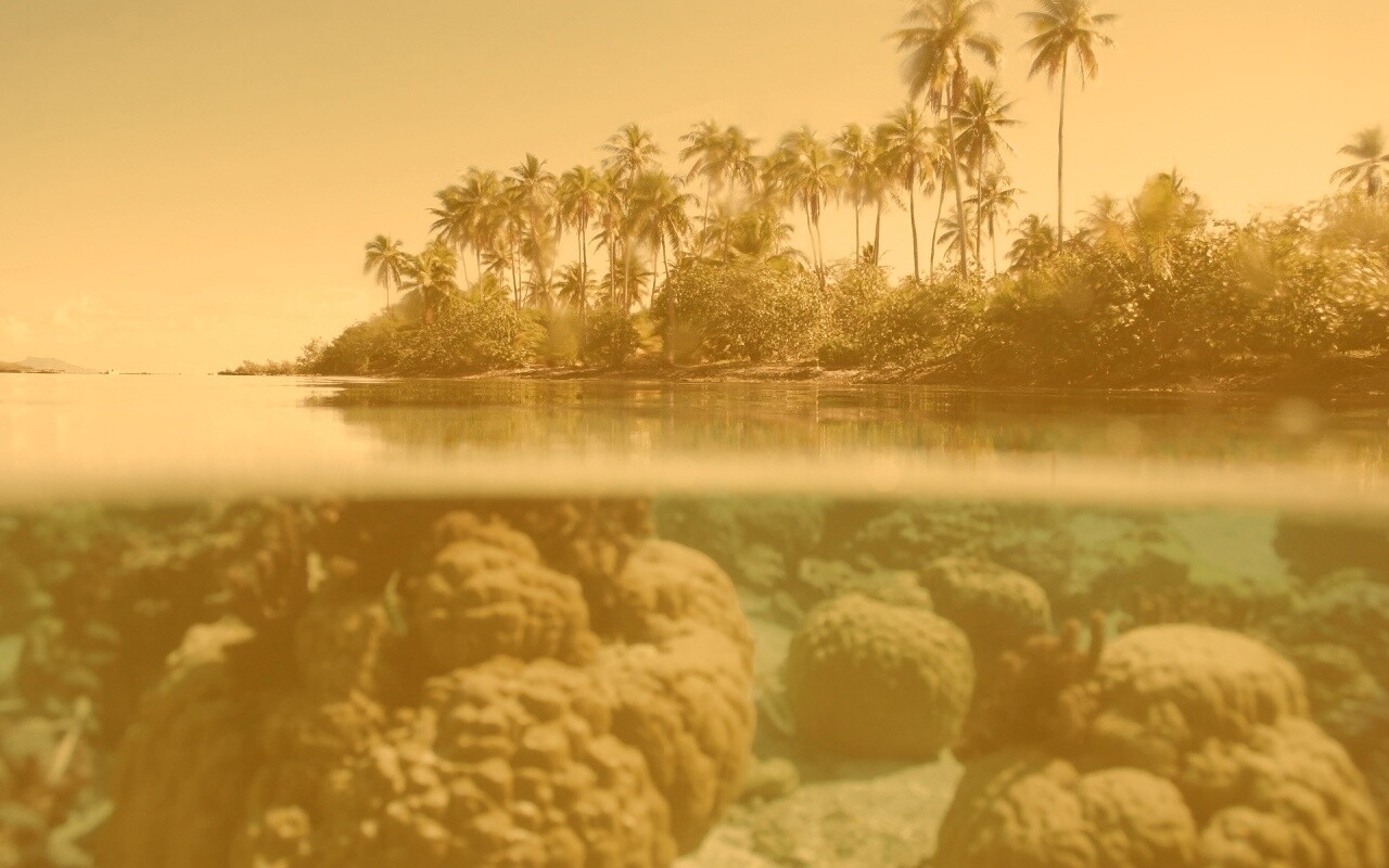 Из-под воды обои