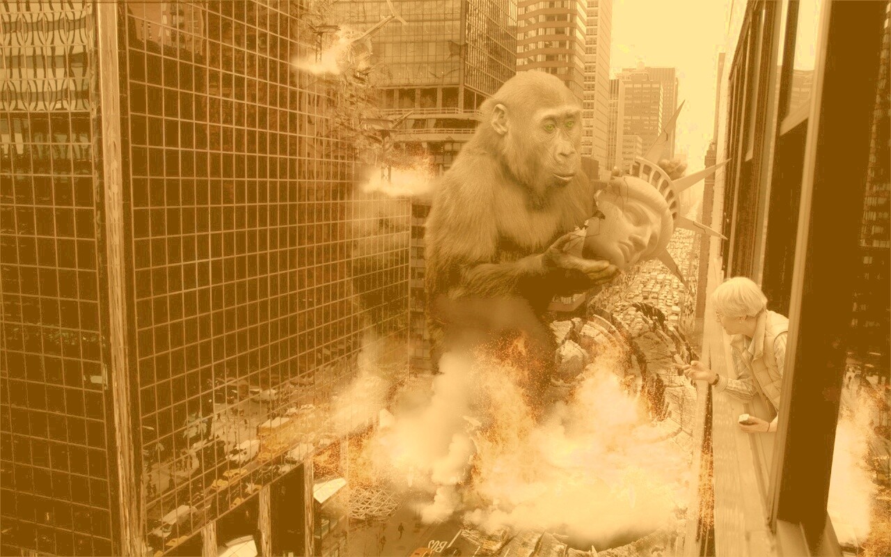 Обезьяна терроизирует Нью-Йорк обои