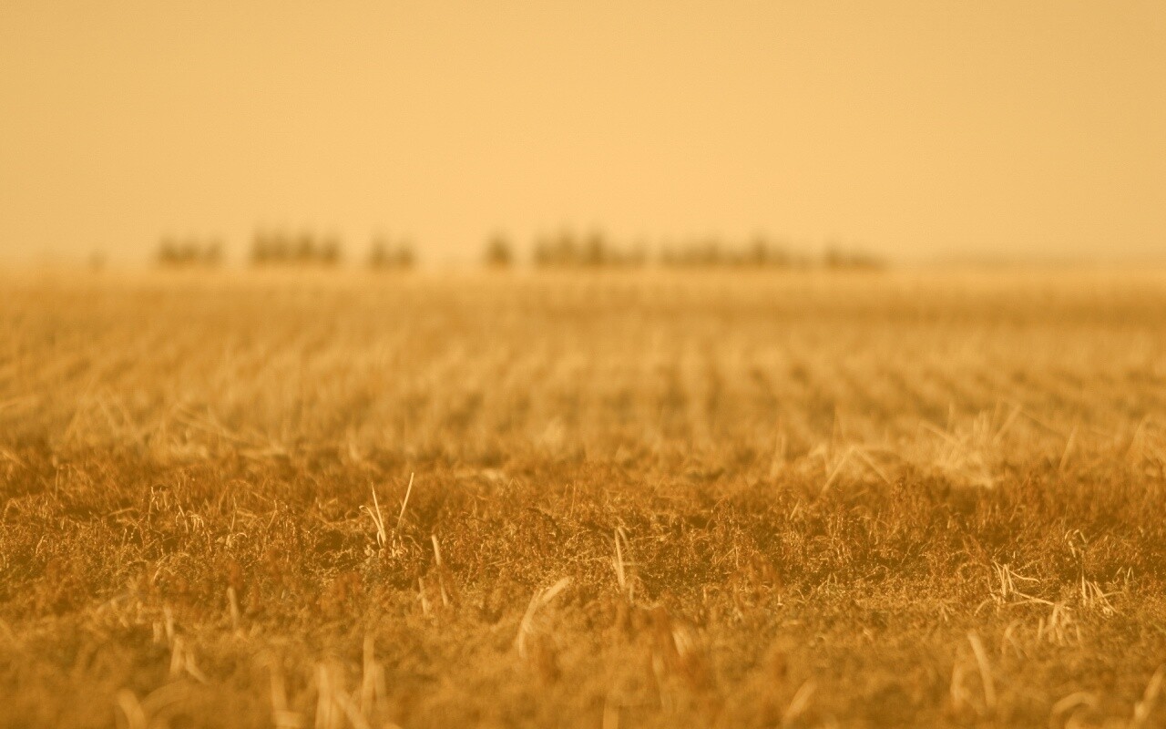 Поле перед вспашкой обои