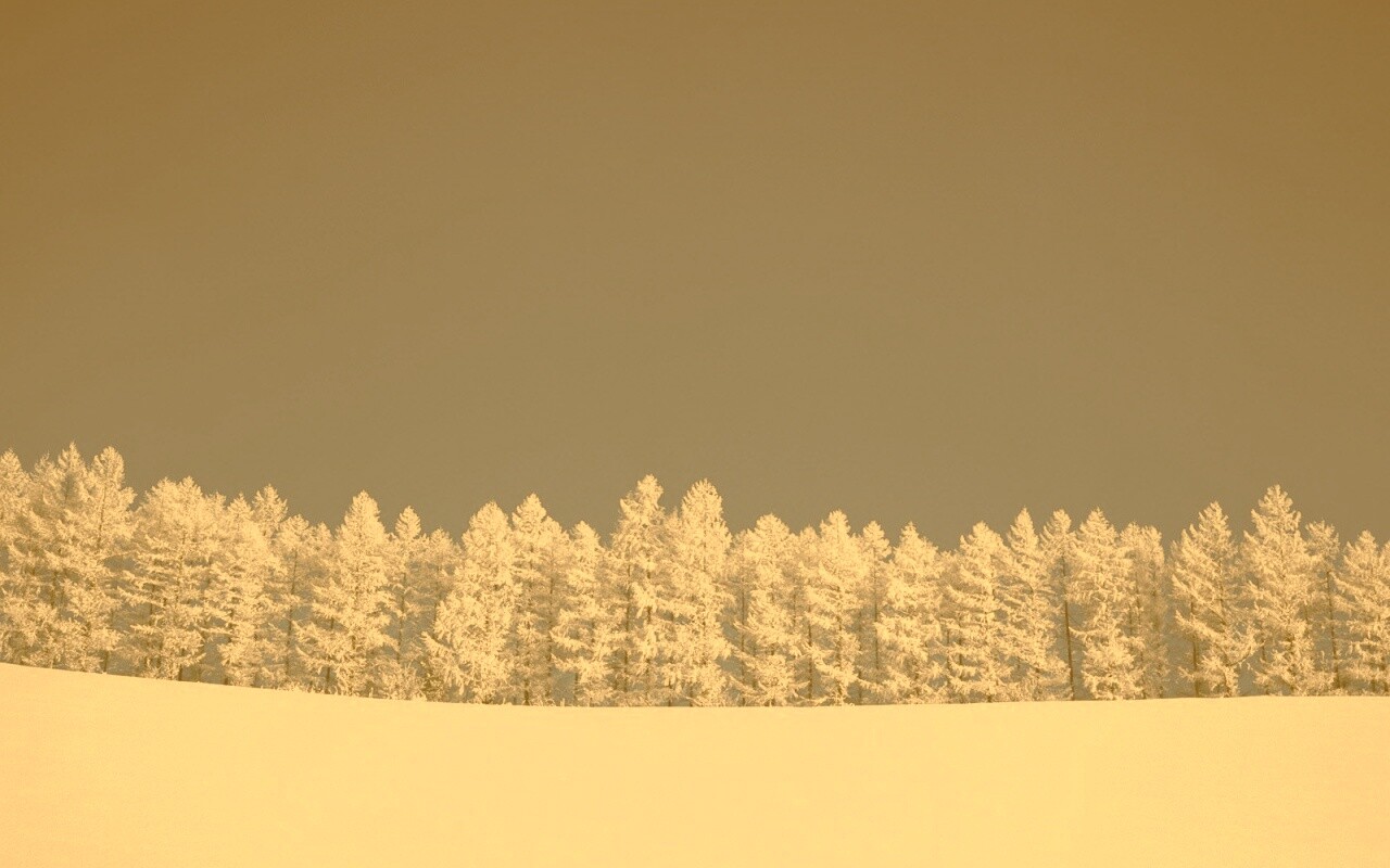 Заснеженный лес обои