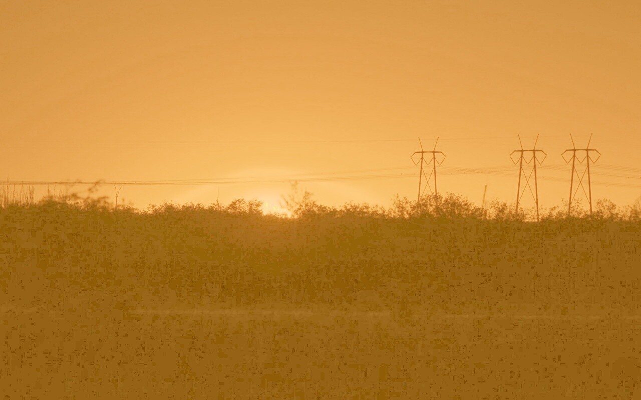 Закат за лесом обои