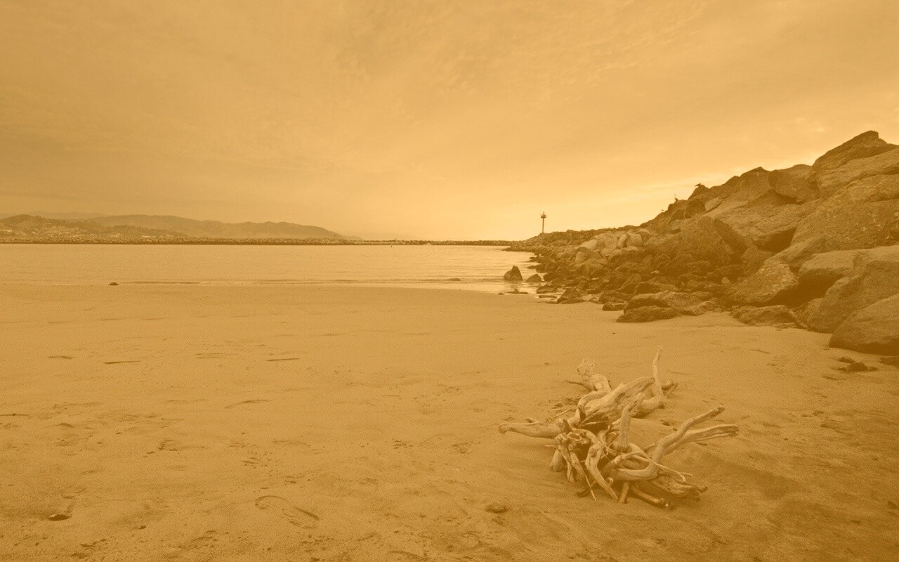 Коряга не берегу обои