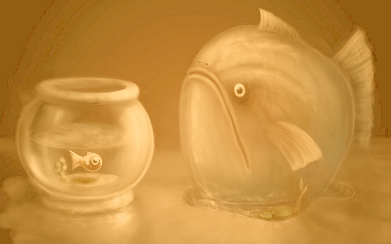 Большая и маленькая рыбки обои