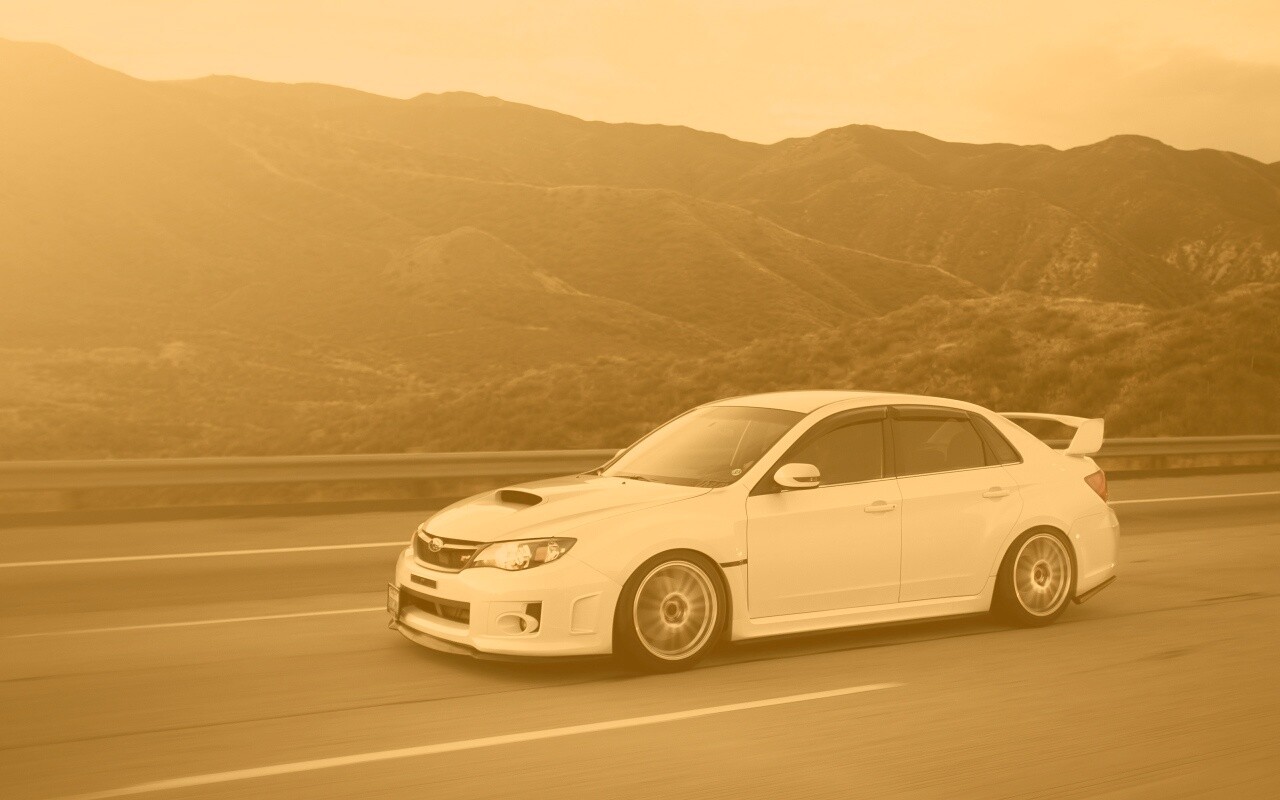 Белый субарь на тарссе обои