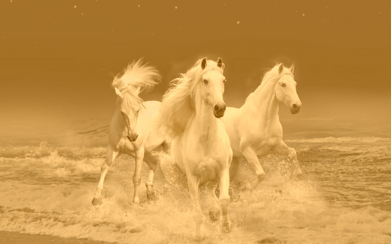 Тройка конец в море обои