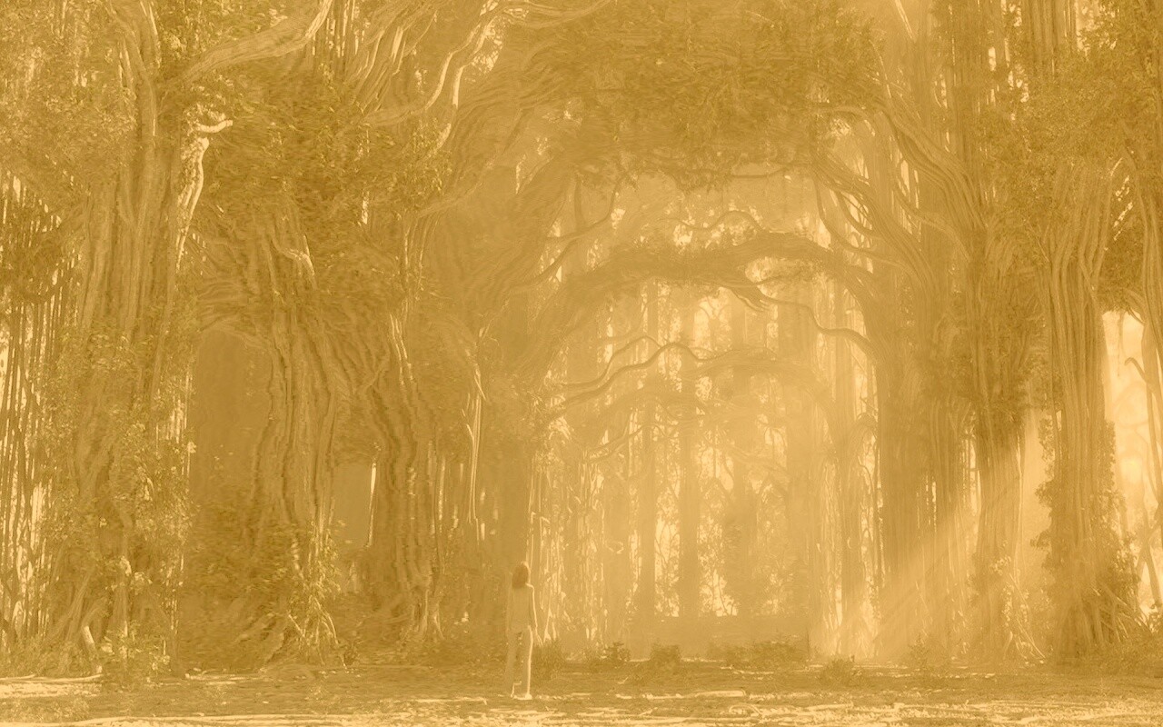 Одна в сумеречном лесу обои