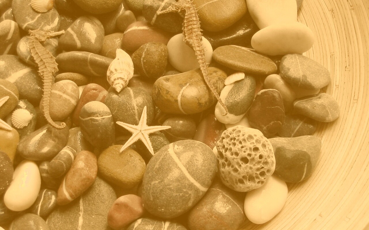 Морские камешки и фауна обои