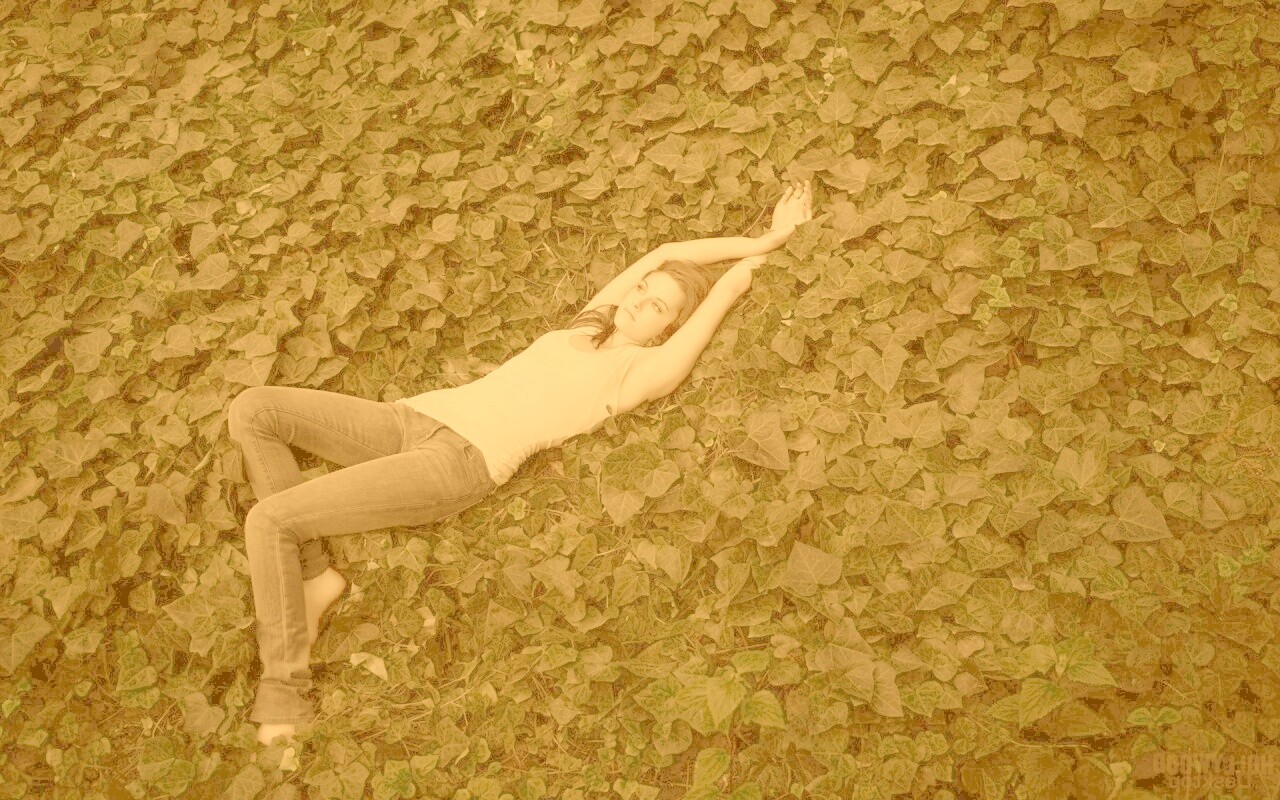 Кристен Стюарт на ковре из листьев обои