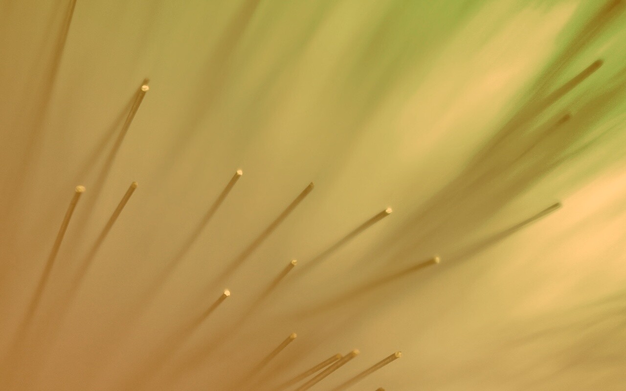 Световоды в рассеяном свете обои