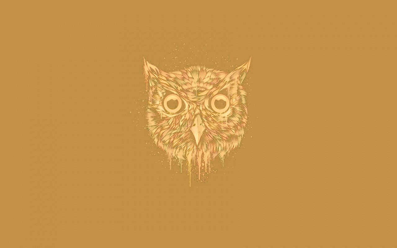 Векторная совиная голова обои