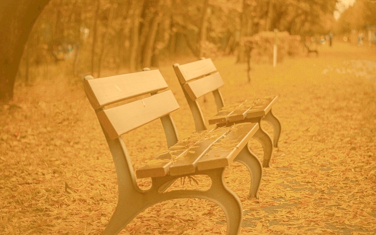 Лавочки в осеннем парке обои