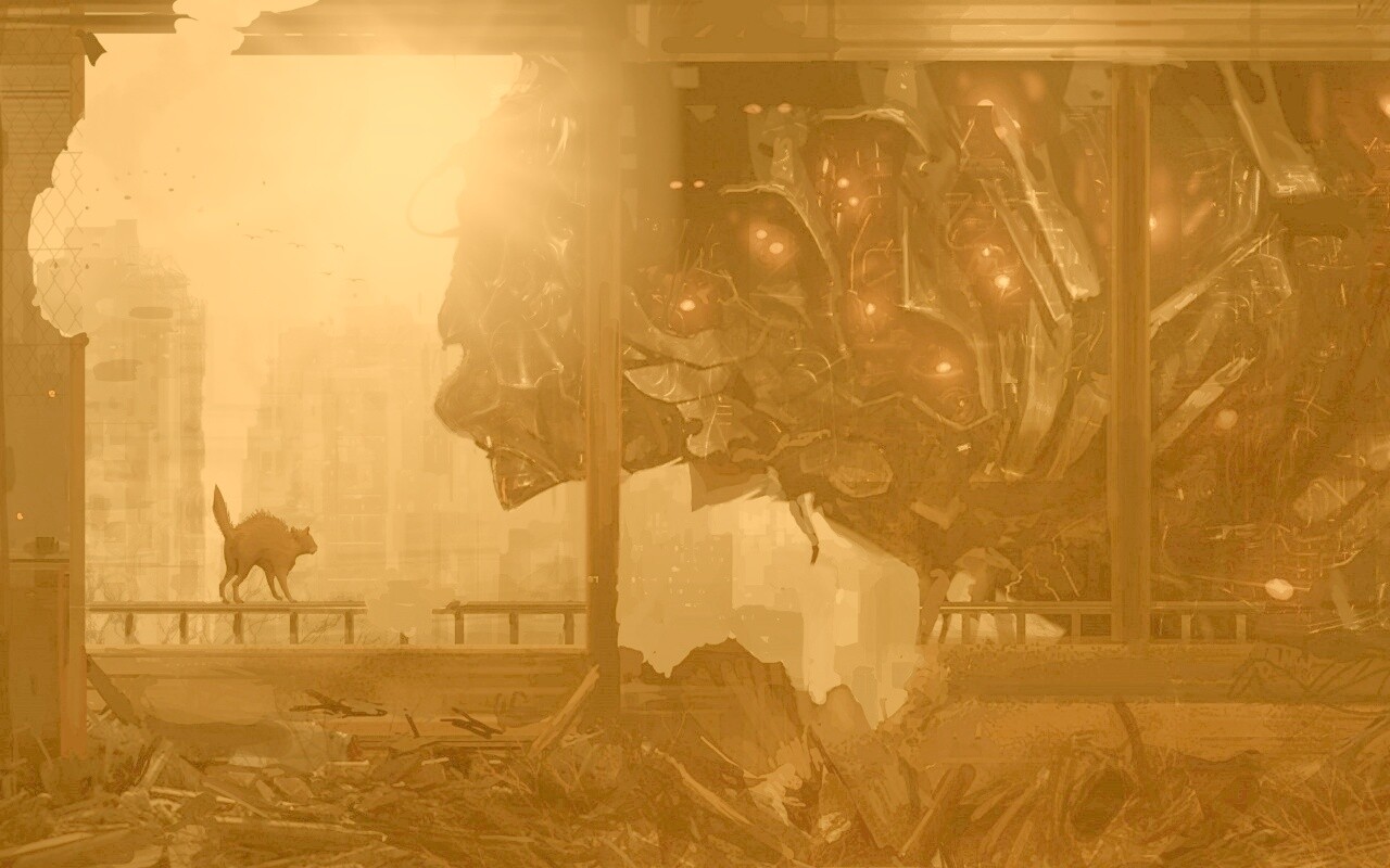 Кошкино удивление обои