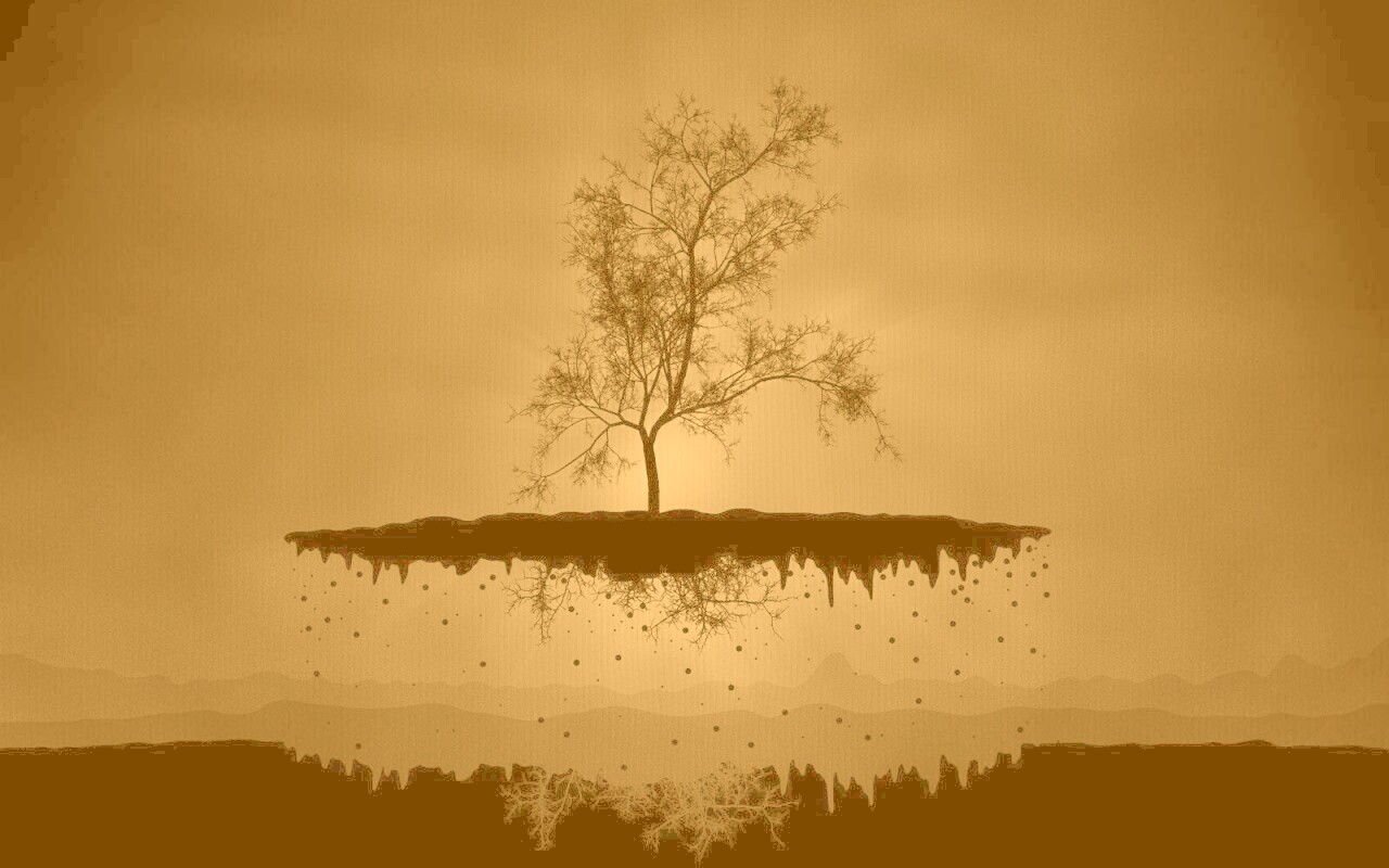 Когда деревья летают обои