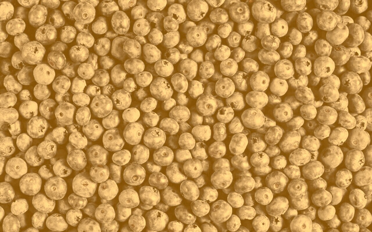 Черника обои