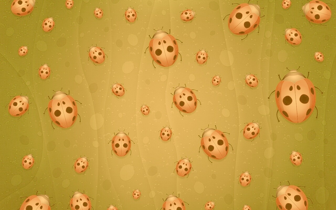 Божьи коровки обои