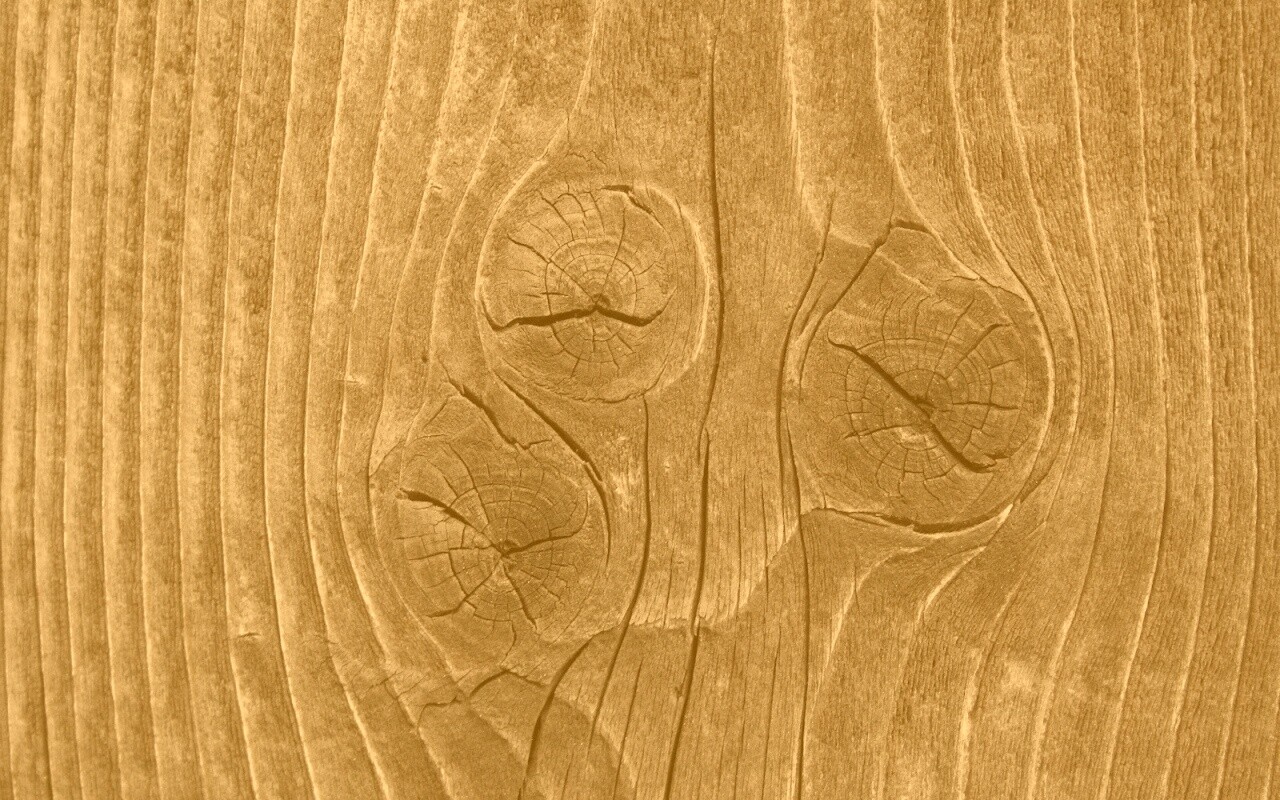 Сучковатое дерево обои