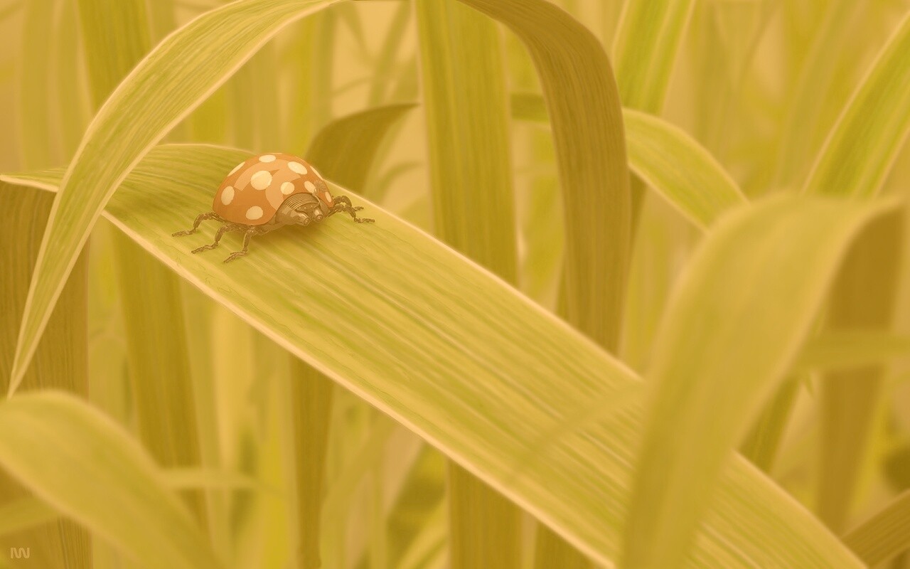 Милая божья коровка робот обои