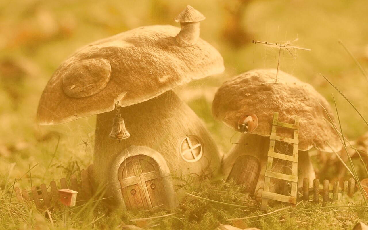 Грибы домики обои
