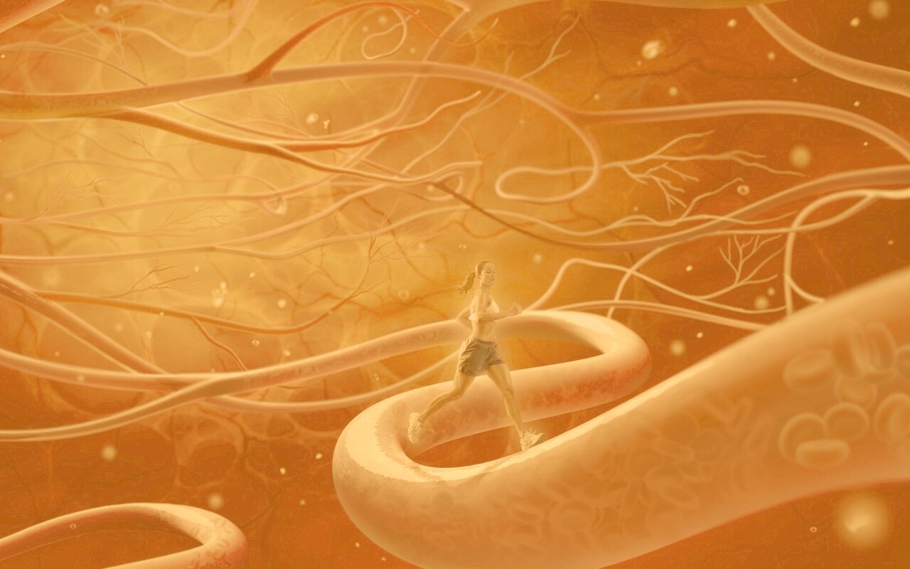 Бег крови обои