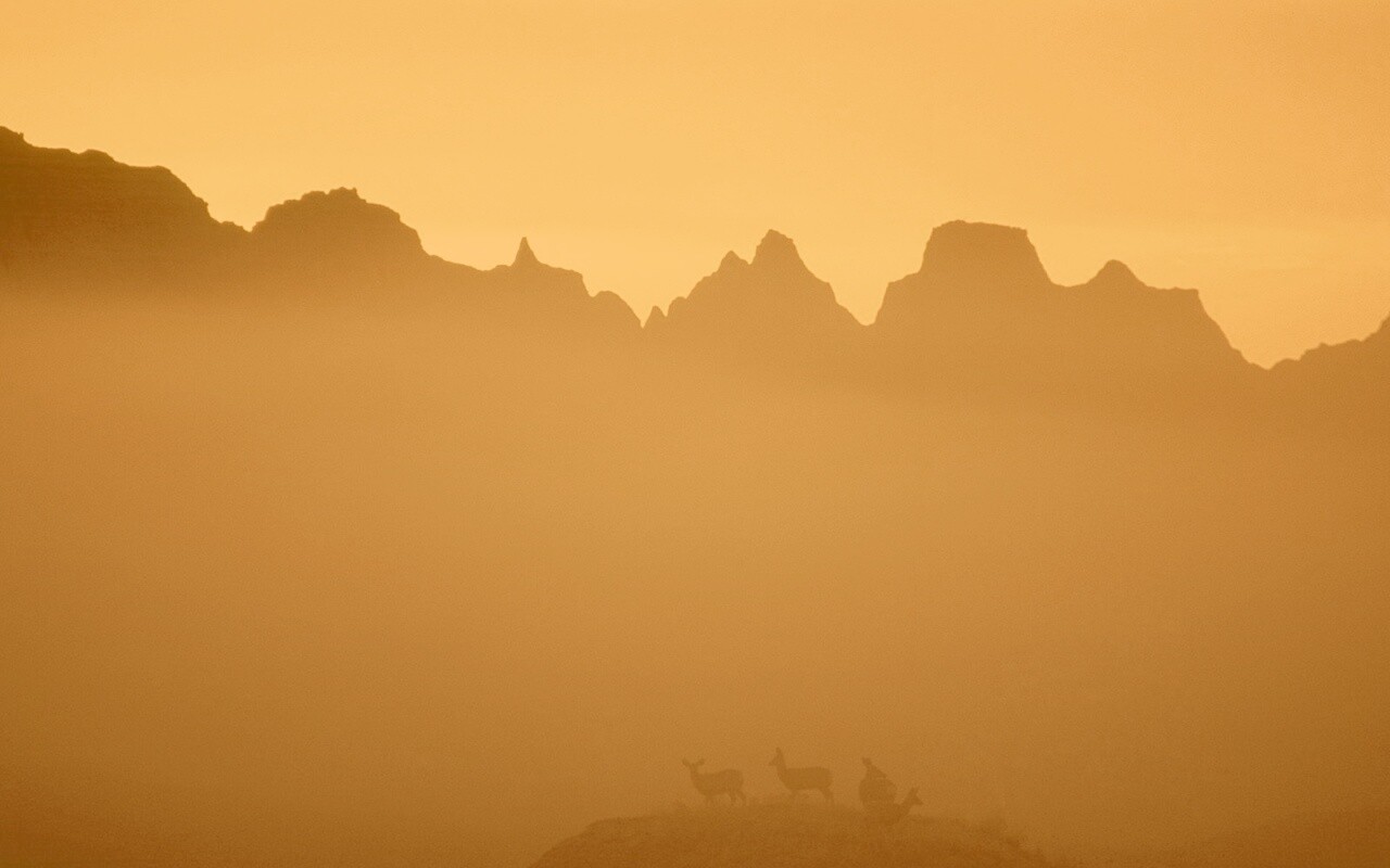 Вечер в национальном парке обои