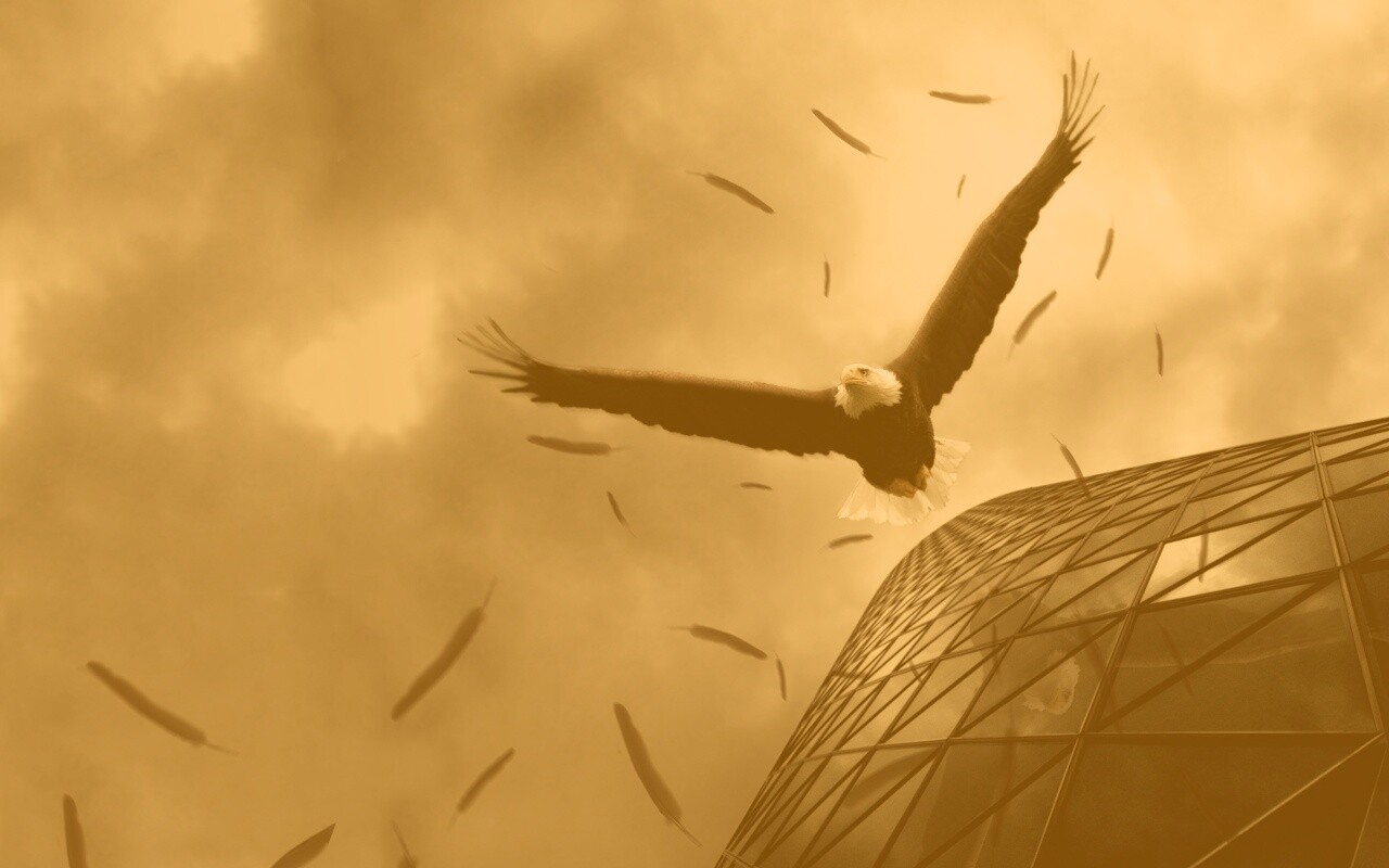 Орлиный полет обои