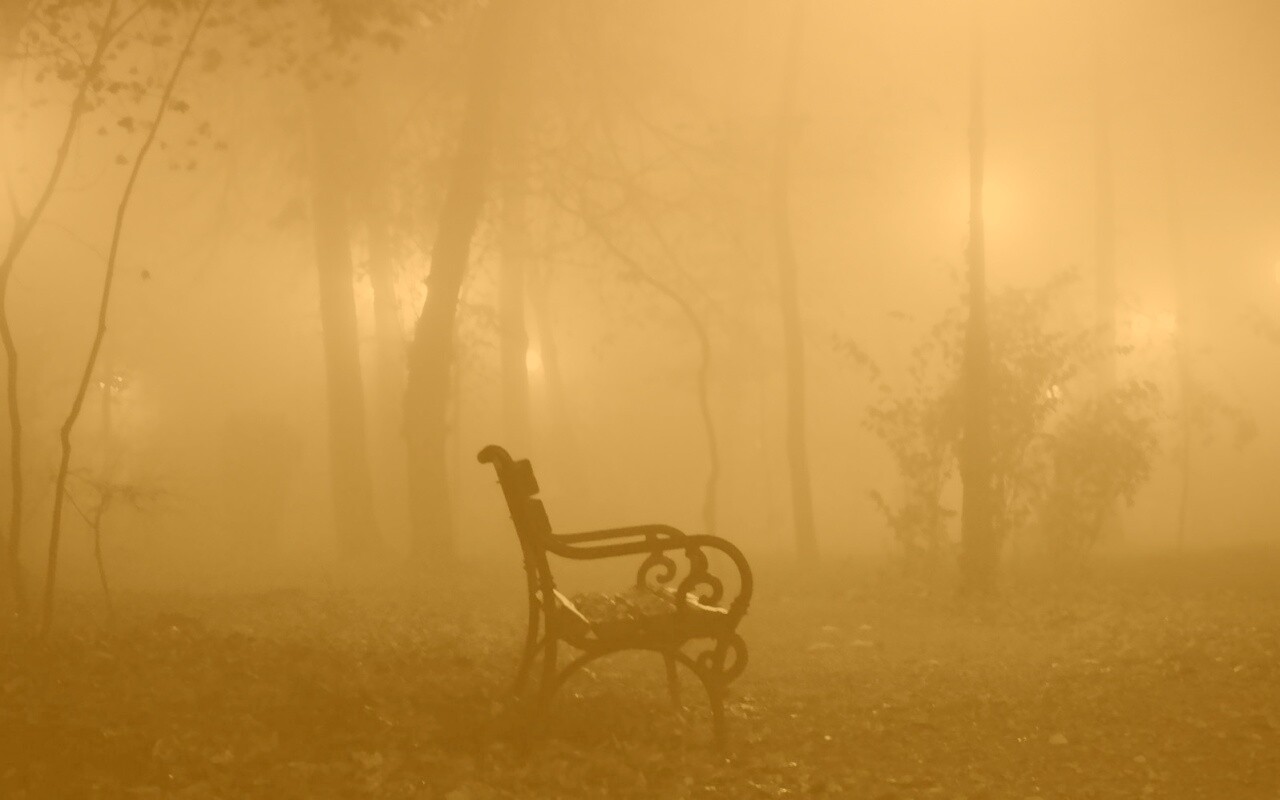 Темный лес обои