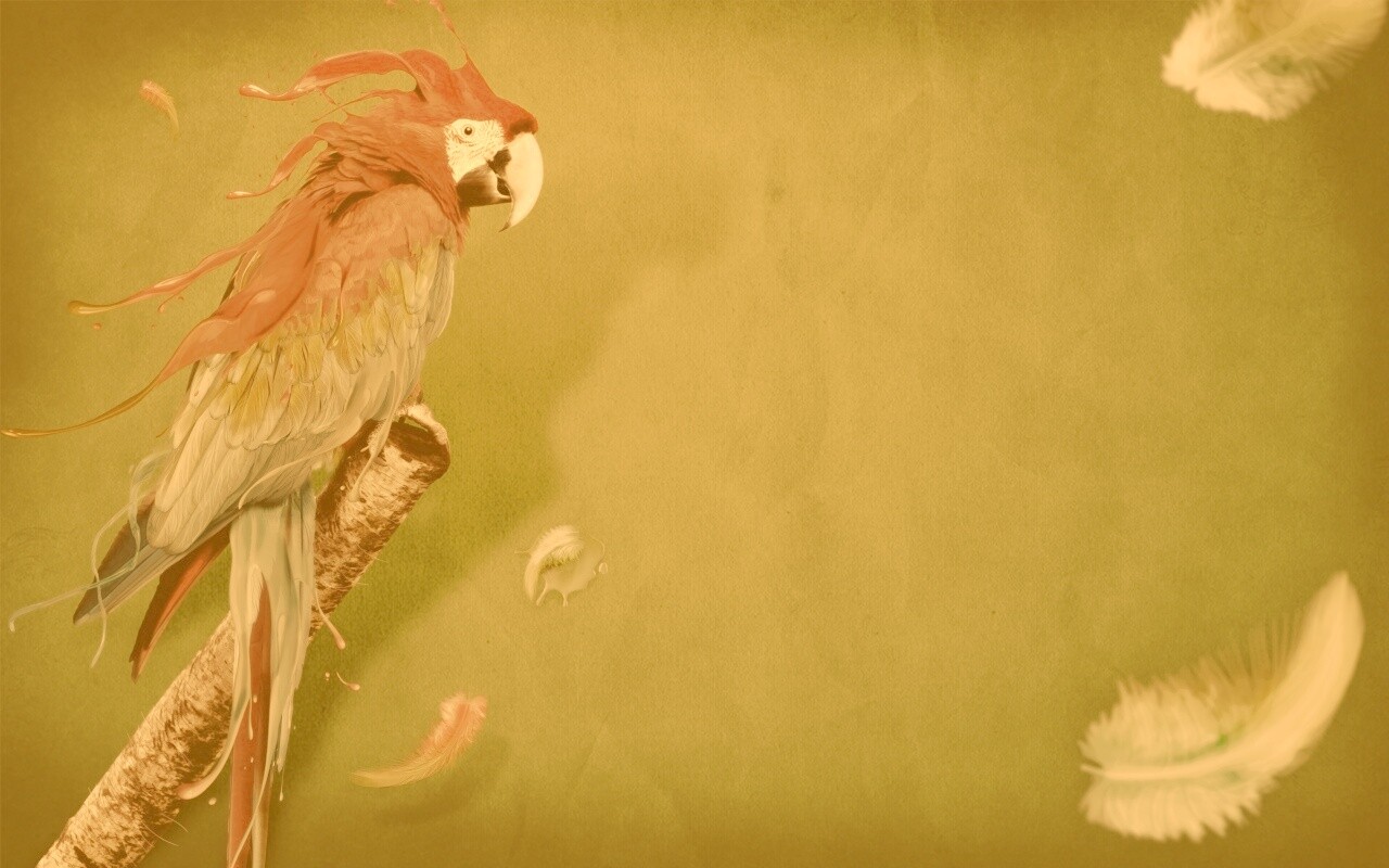 Попугай на ветке обои