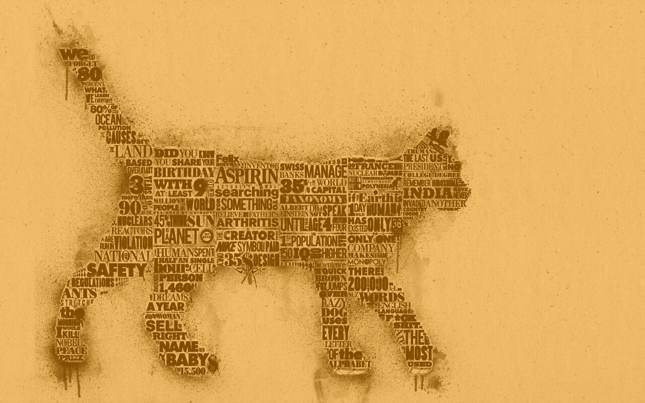 Кот - газета обои