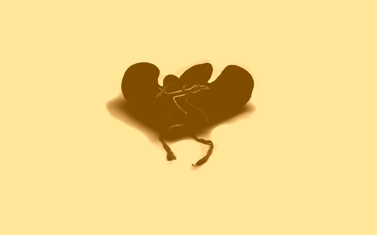 Боксерские перчатки обои