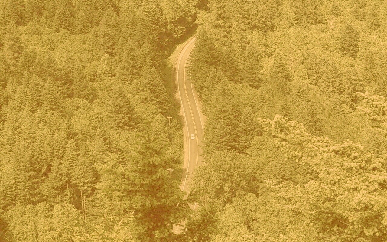 Лесная трасса обои