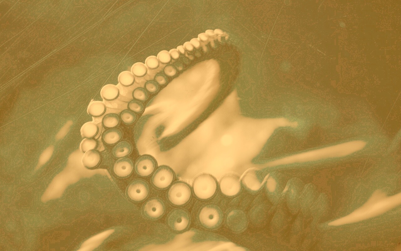 Щупальце обои