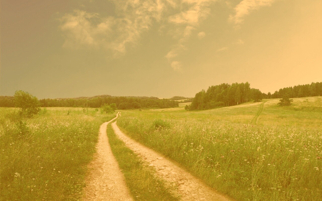 Дорога через луг обои